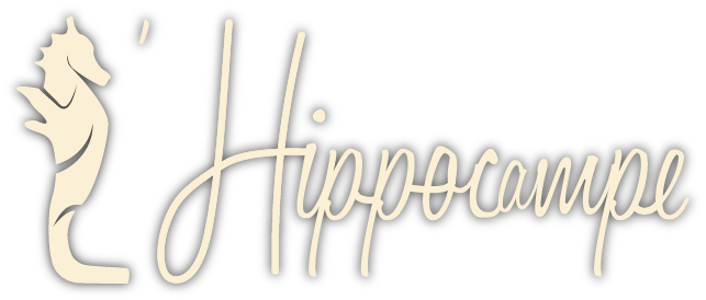 Logo Hippocampe